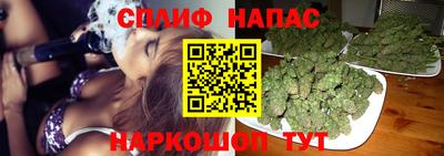 гашик Тула