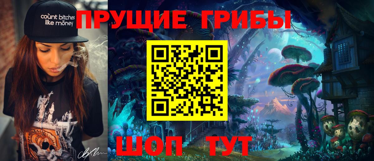 Псилоцибиновые грибы Psilocybe Лабытнанги